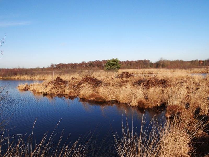 006-Faulbaumecke-14-02-2014-L-Klasing