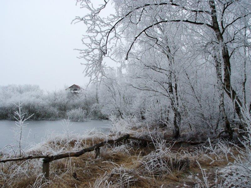 006-Rauhreif-Am-Lehrpfad-L-Klasing