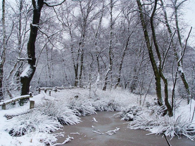 007-01-01-2010-L-Klasing-042