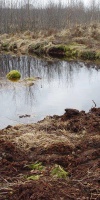 008-10-03-2006-Wasserstand-In-Der-Faulbaumecke