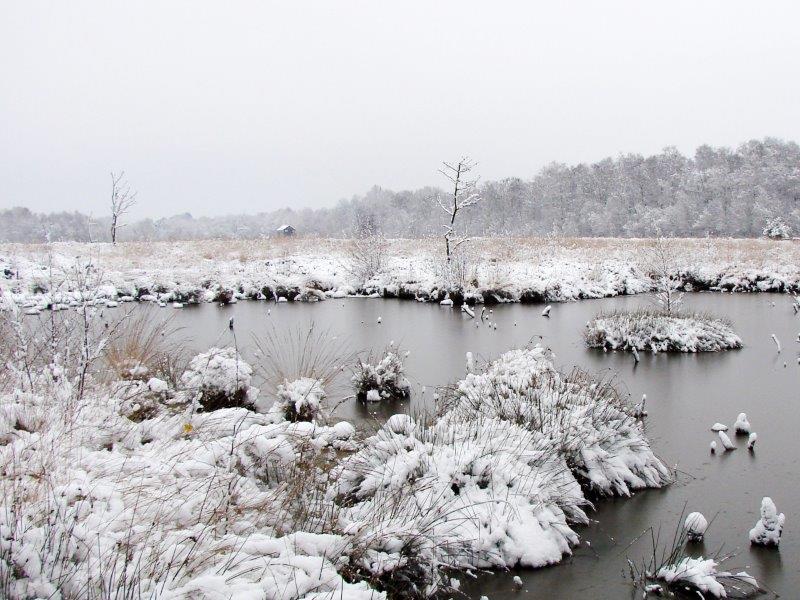 008-Alter-Torfstich-L-Klasing
