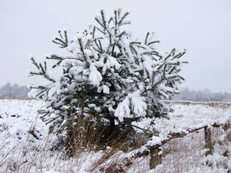 009-Am-Lehrpfad-L-Klasing