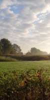 009-Herbststimmung-Im-Emsdettener-Venn-L-Klasing