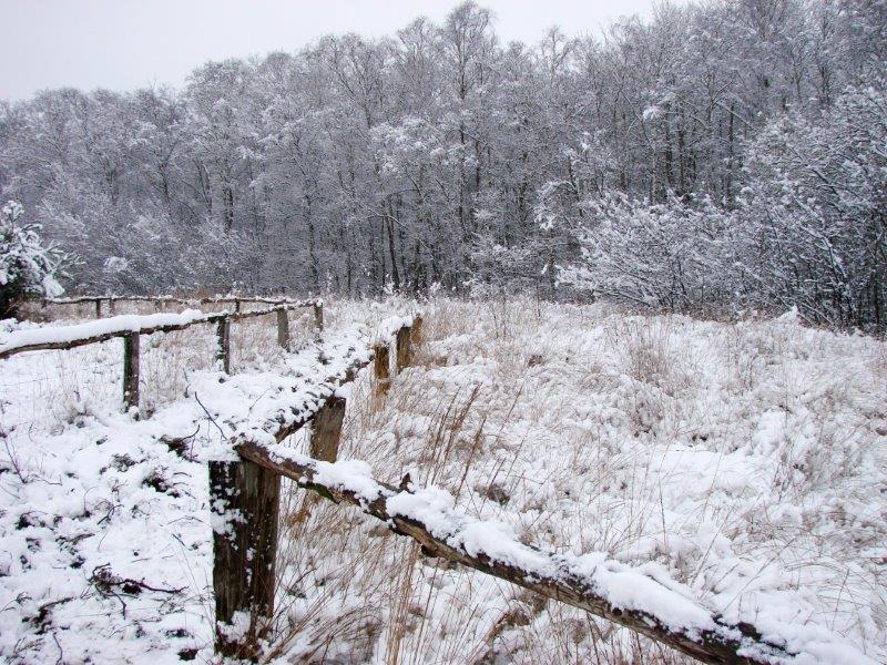 010-Am-Lehrpfad-L-Klasing