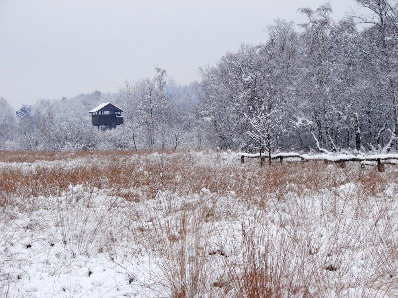 011-Am-Lehrpfad-L-Klasing