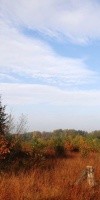 011-Herbststimmung-Im-Emsdettener-Venn-L-Klasing