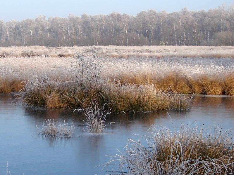 011-Rauhreif-Am-Torfstich-L-Klasing