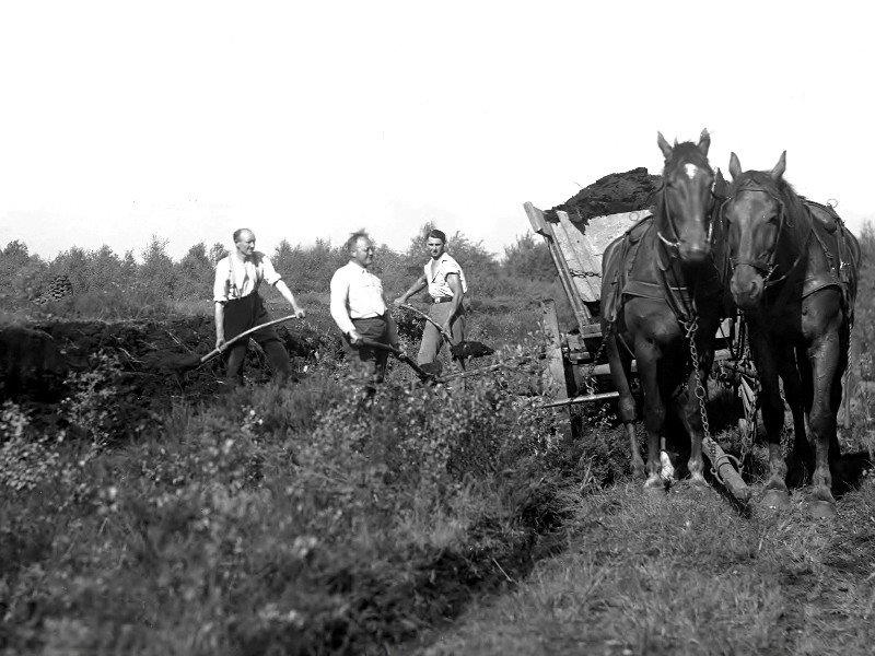 012-Im-August-September-Wurde-Der-Getrocknete-Torf-Mit-Fuhrwerken-Nach-Hause-Gefahren