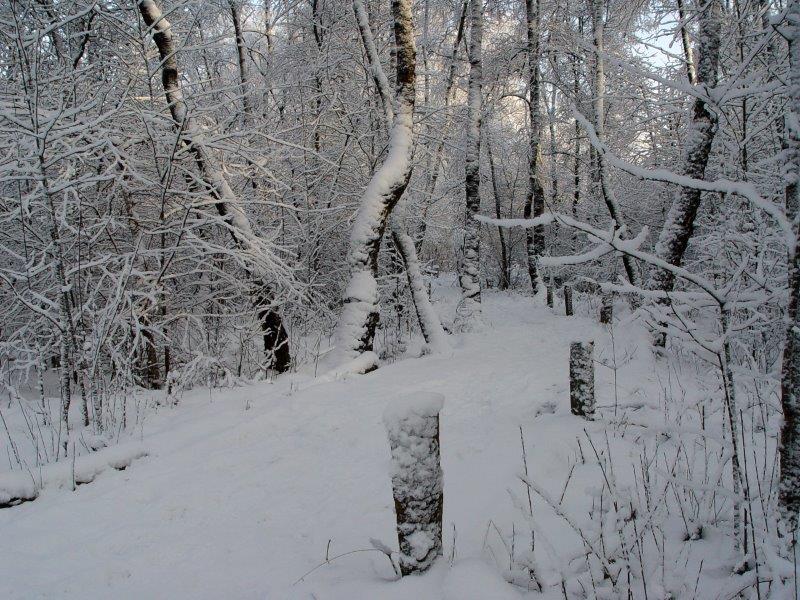 015-Am-Lehrpfad-L-Klasing