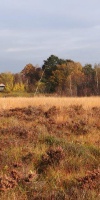 016-Herbststimmung-Im-Emsdettener-Venn-L-Klasing