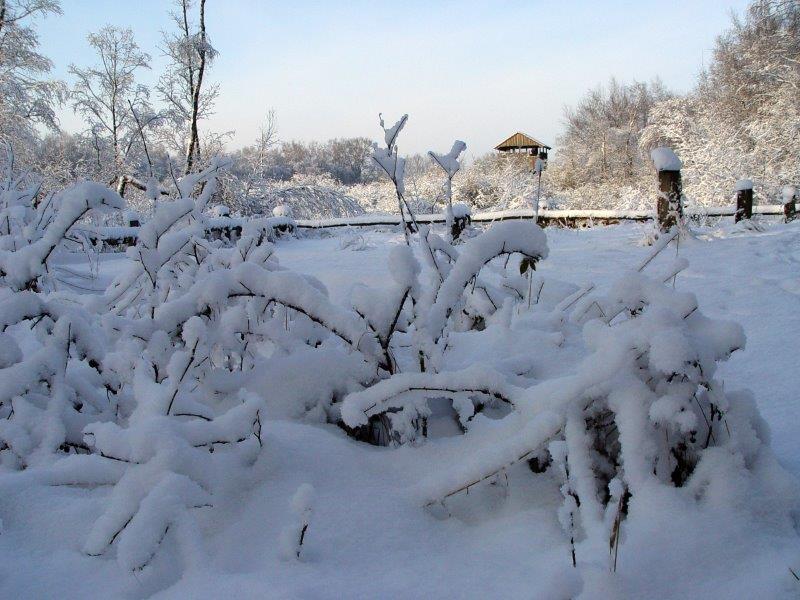 017-Am-Lehrpfad-L-Klasing