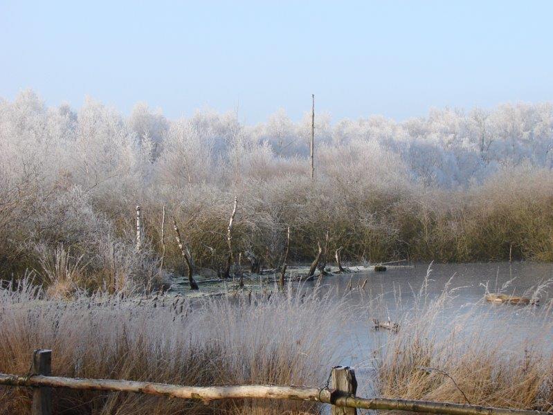 018-Rauhreif-Am-Torfstich-L-Klasing