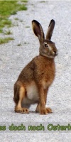 002 Ostern L. Klasing