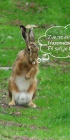 012 Ostern L. Klasing