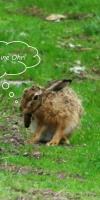014 Ostern L. Klasing
