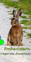 017 Ostern L. Klasing