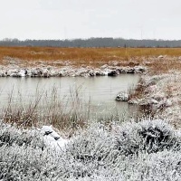 Blänke 1
