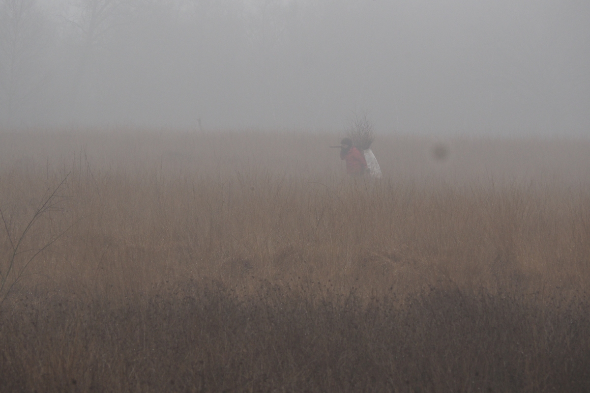 Alles Holz muss raus aus dem Venn