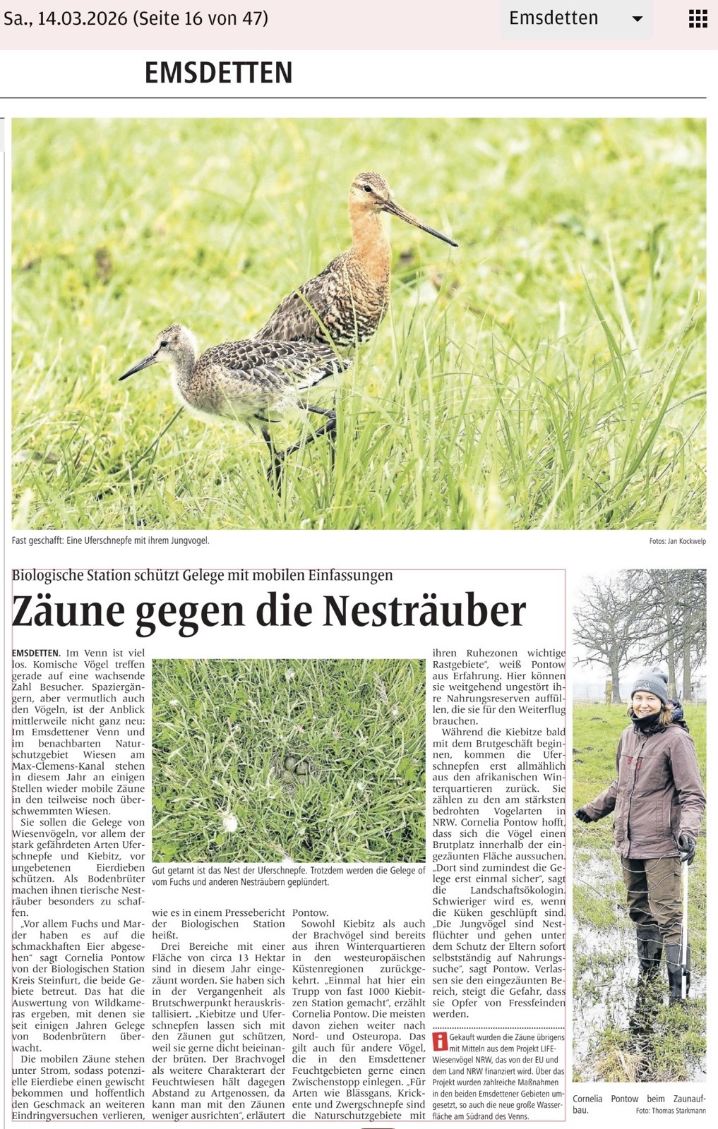 Zäune gegen Nesträuber